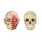 Learning Resources® Double-sided Magnetic Human Body